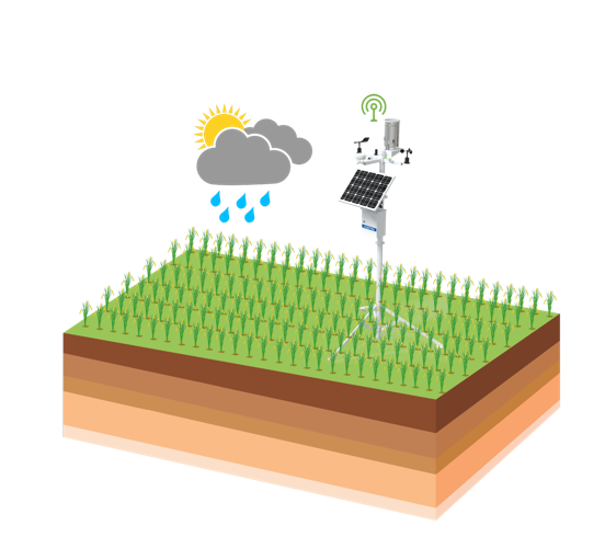 ��ҳ- �ƶ����ʼ��Źٷ���վ