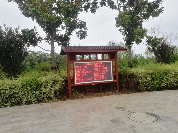 ������̬�������վ����Ҫ����