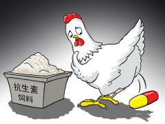 ʳƷ�����ز�����������μ����